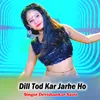 About Dill Tod Kar Jarhe Ho Song